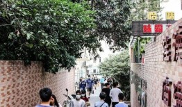 桂庙新村爆料案件真相最新,揭开惊人内幕，正义终将到来